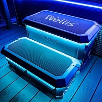 Ступени Wellis Life